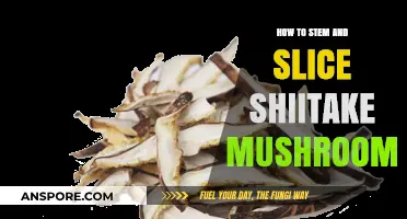 Mastering Shiitake Prep: Easy Steps to Stem and Slice Mushrooms