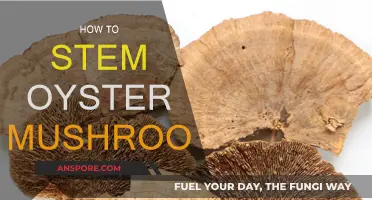 Grow Oyster Mushrooms: Stem Secrets Revealed