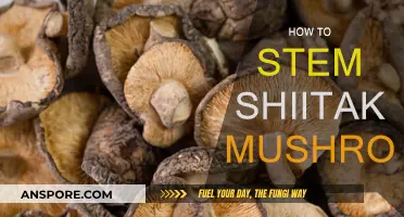 The Ultimate Guide to Stemming Shiitake Mushrooms