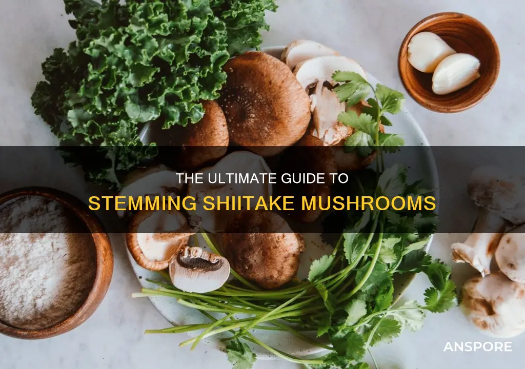 how to stem shiitake mushrooms