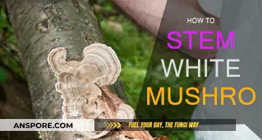 The Best Way to Stem White Mushrooms