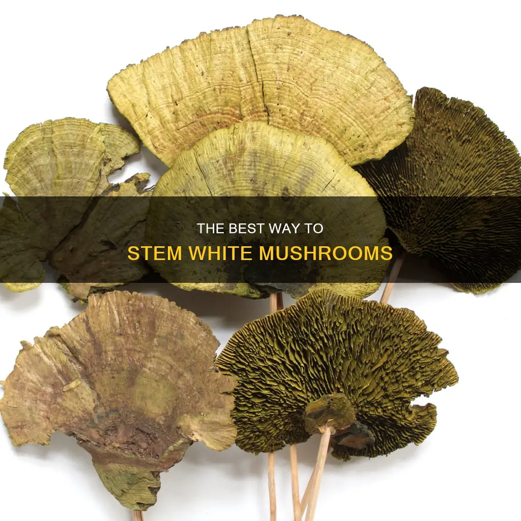 how to stem white mushrooms