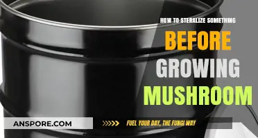 Sterilizing Substrates: Essential Steps for Successful Mushroom Cultivation