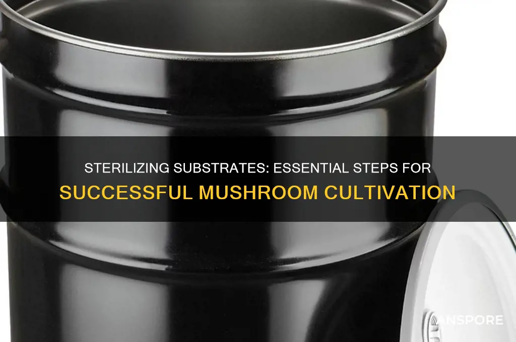 how to steralize something before growing mushrooms