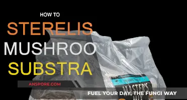 Sterilizing Mushroom Substrate: Techniques for Success