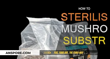 Sterilizing Mushroom Substrate: Techniques for Success