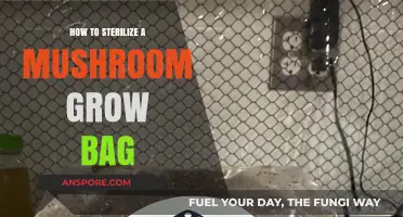 Sterilizing Mushroom Grow Bags: A Step-by-Step Guide for Success