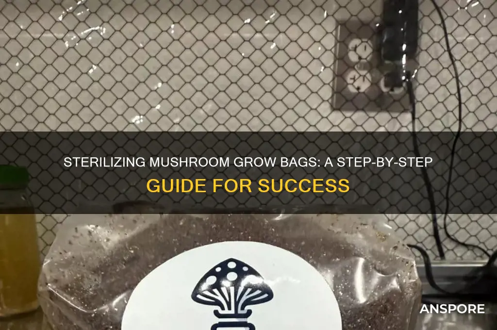 how to sterilize a mushroom grow bag