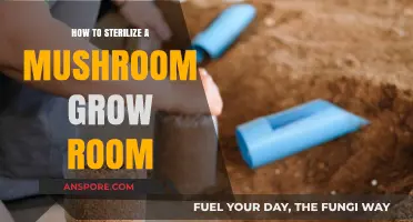 Effective Sterilization Techniques for a Clean Mushroom Grow Room