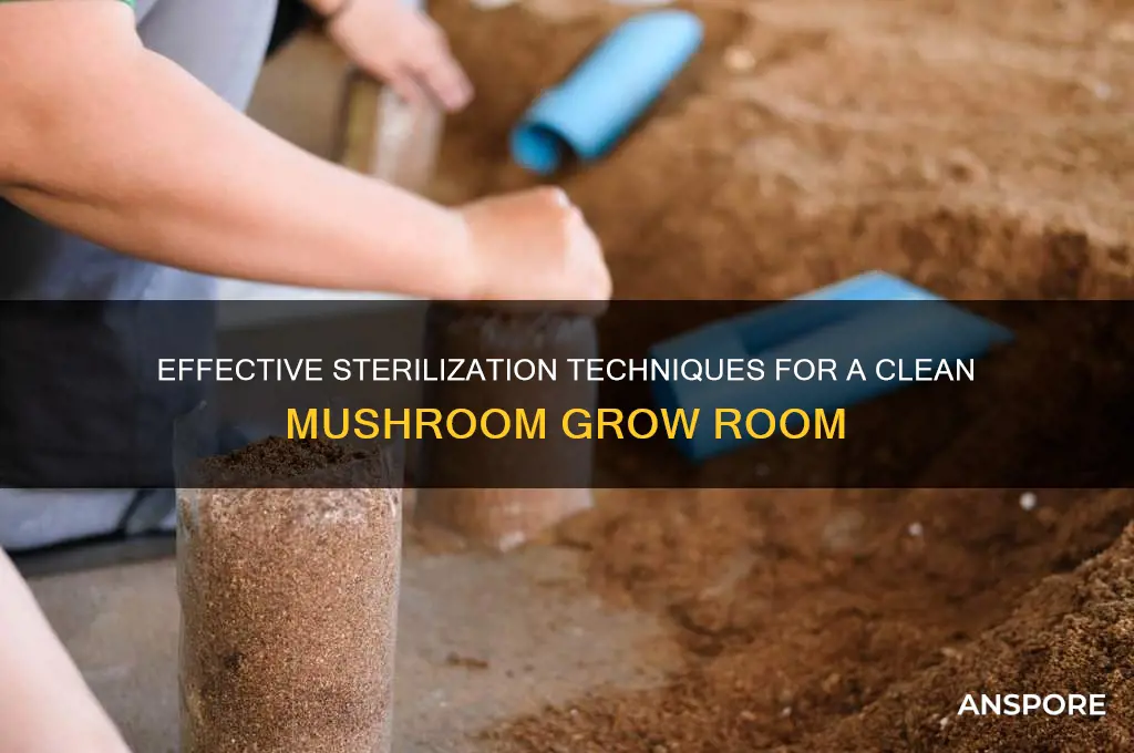 how to sterilize a mushroom grow room