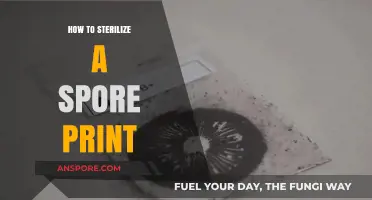 Sterilizing Spore Prints: A Step-by-Step Guide for Safe Preservation