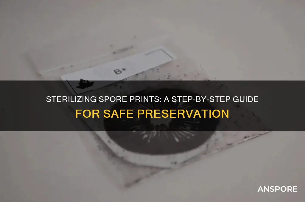 how to sterilize a spore print