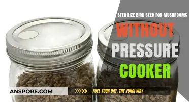 Sterilizing Bird Seed for Mushroom Cultivation: A Pressure Cooker-Free Method