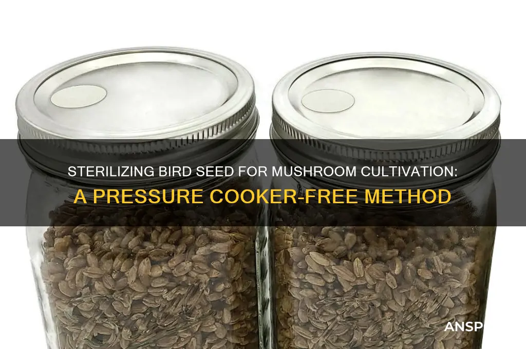 how to sterilize bird seed for mushrooms without pressure cooker