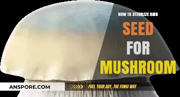 Sterilizing Bird Seed for Mushroom Cultivation: A Simple Guide