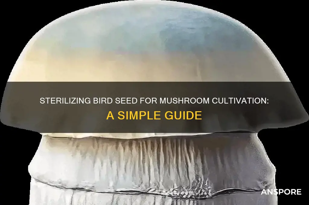how to sterilize bird seed for mushrooms