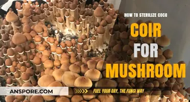 Sterilizing Coco Coir for Mushroom Cultivation: A Step-by-Step Guide