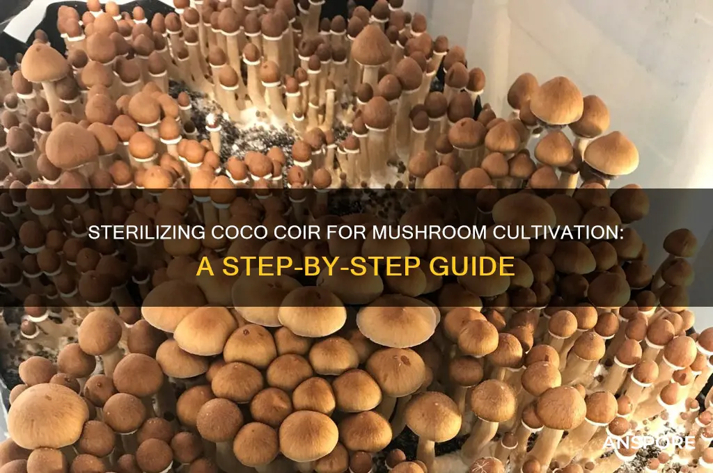 how to sterilize coco coir for mushrooms