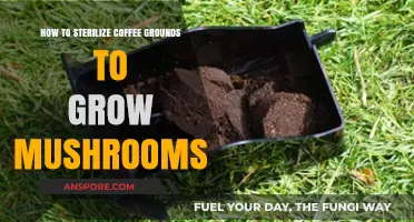 Sterilizing Coffee Grounds for Mushroom Cultivation: A Step-by-Step Guide