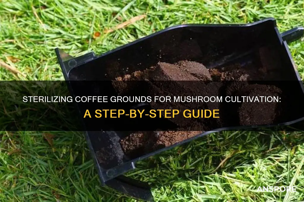 how to sterilize coffee grounds to grow mushrooms