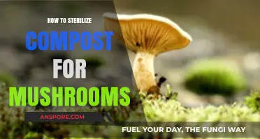 Effective Compost Sterilization Techniques for Growing Healthy Mushrooms