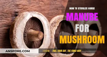 Sterilizing Horse Manure for Mushroom Cultivation: A Step-by-Step Guide