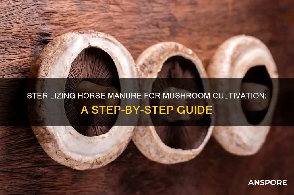 how to sterilize horse manure for mushrooms