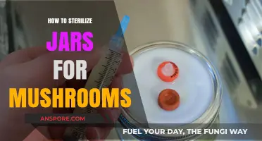 Sterilizing Jars for Mushroom Cultivation: A Step-by-Step Guide