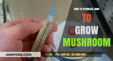 Sterilizing Jars for Mushroom Cultivation: A Step-by-Step Guide