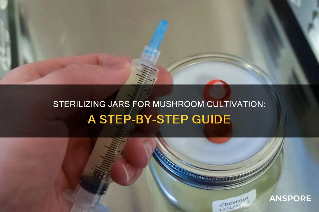 how to sterilize jars to grow mushrooms