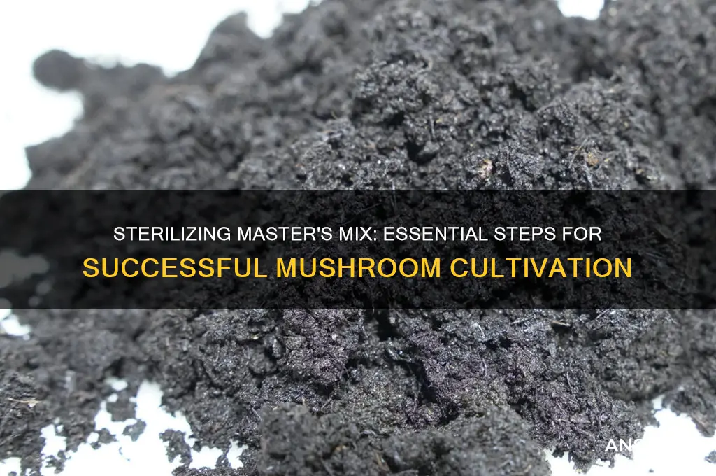 how to sterilize masters mix for mushroom