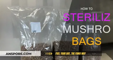 Effective Ways to Sterilize Mushroom Bags at Home