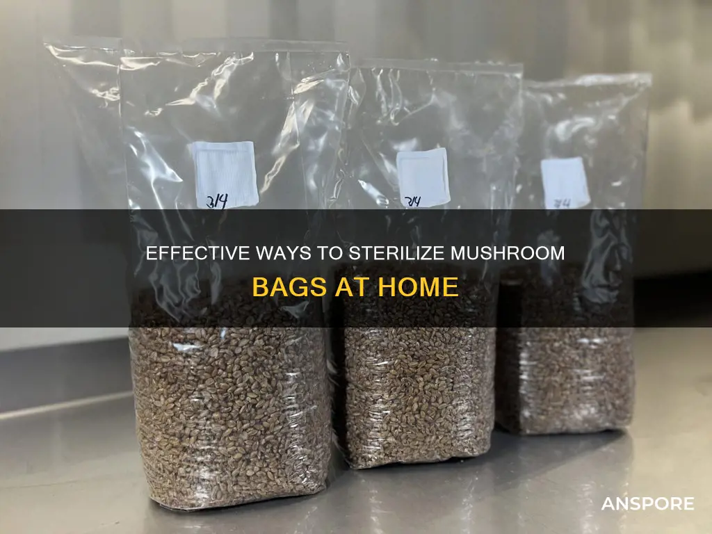 how to sterilize mushroom bags