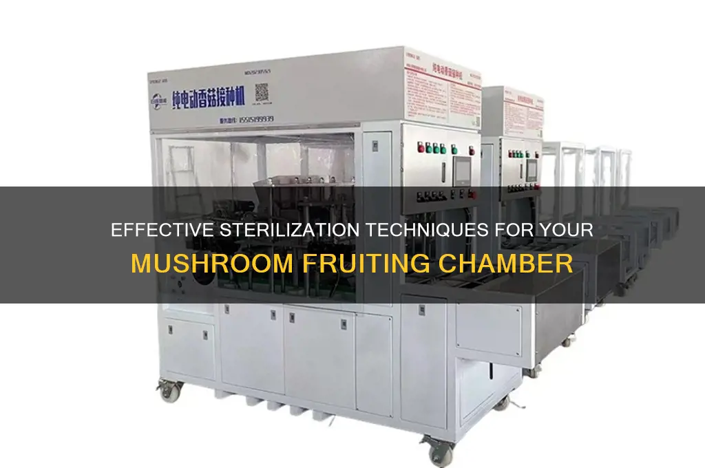 how to sterilize mushroom fruiting chamber