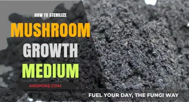 Sterilizing Mushroom Growth Medium: Essential Steps for Successful Cultivation