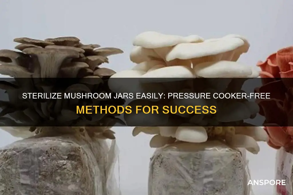 how to sterilize mushroom jars without a pressure cooker