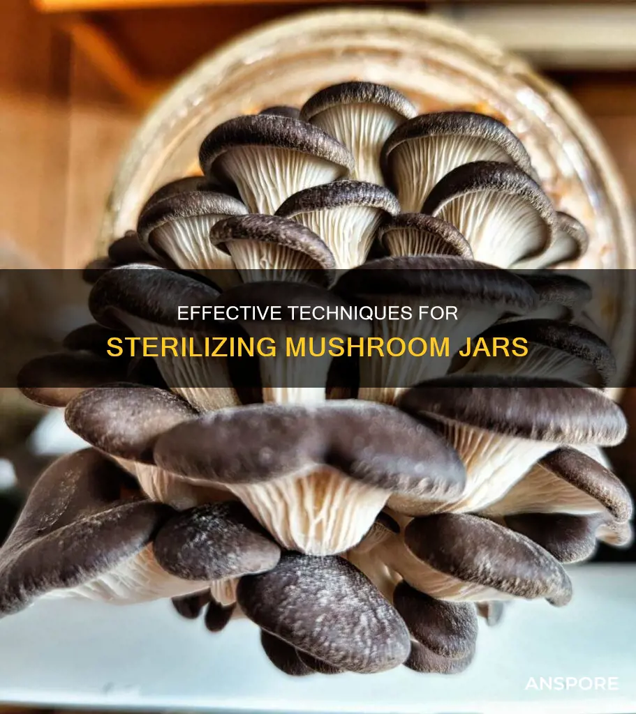 how to sterilize mushroom jars