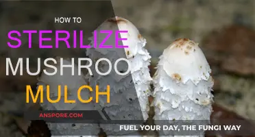 Effective Ways to Sterilize Mushroom Mulch at Home
