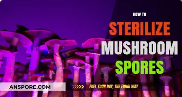 Effective Methods for Sterilizing Mushroom Spores at Home