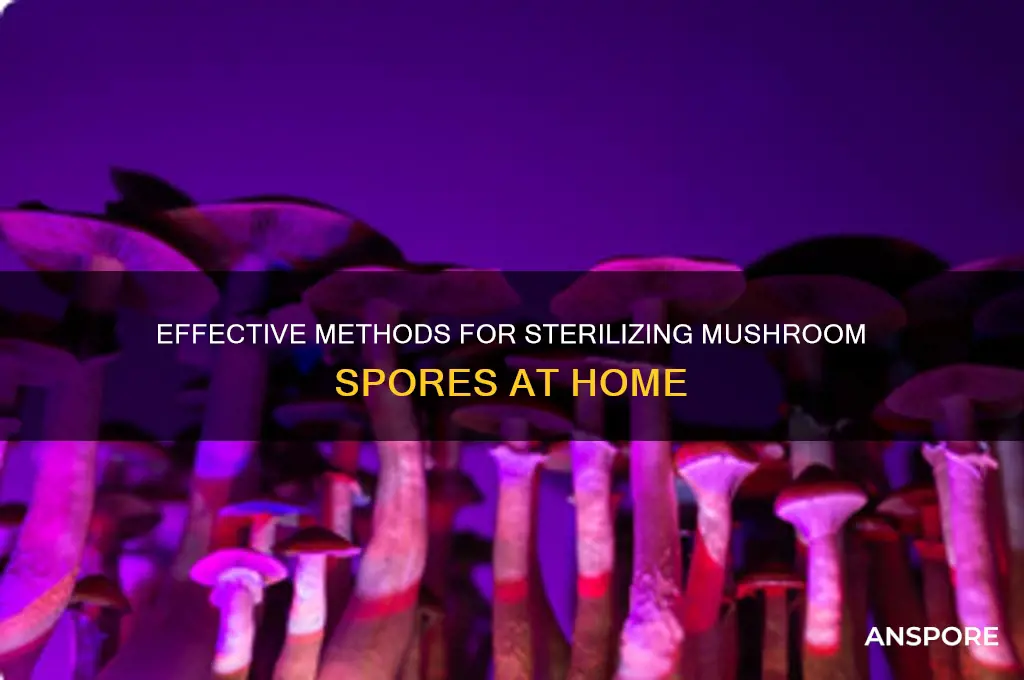 how to sterilize mushroom spores
