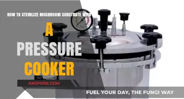Sterilizing Mushroom Substrate: A Pressure Cooker Guide for Success