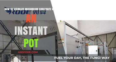 Sterilize Mushroom Substrate Easily: Instant Pot Method Guide