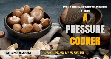 Sterilizing Mushroom Substrate: Simple Methods Without a Pressure Cooker