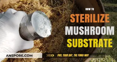 The Art of Sterilizing Mushroom Substrate: A Guide
