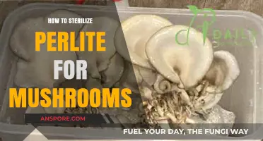 Sterilizing Perlite for Mushroom Cultivation: A Step-by-Step Guide
