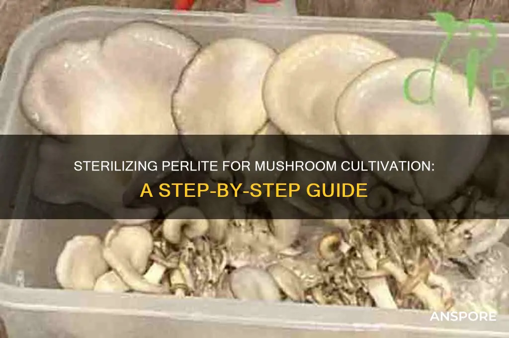 how to sterilize perlite for mushrooms