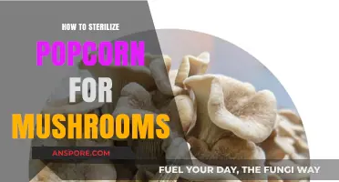 Sterilizing Popcorn for Mushroom Cultivation: A Step-by-Step Guide