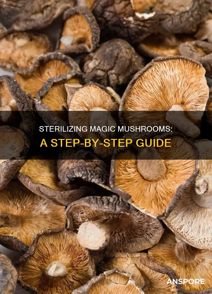 how to sterilize psilocybin mushrooms
