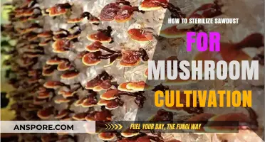 Sterilizing Sawdust for Mushroom Cultivation: A Step-by-Step Guide