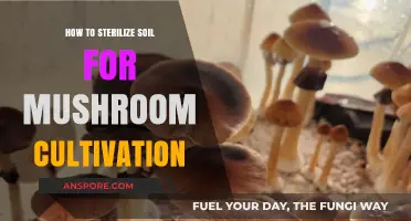Sterilizing Soil for Mushroom Cultivation: A Step-by-Step Guide